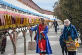 西藏日喀则最大的寺庙，众多流浪狗聚集于此，堪称一景
