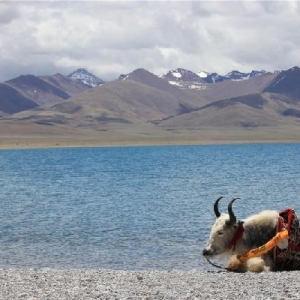 曾是西藏第一大的湖泊，感觉是被大海遗忘的女儿